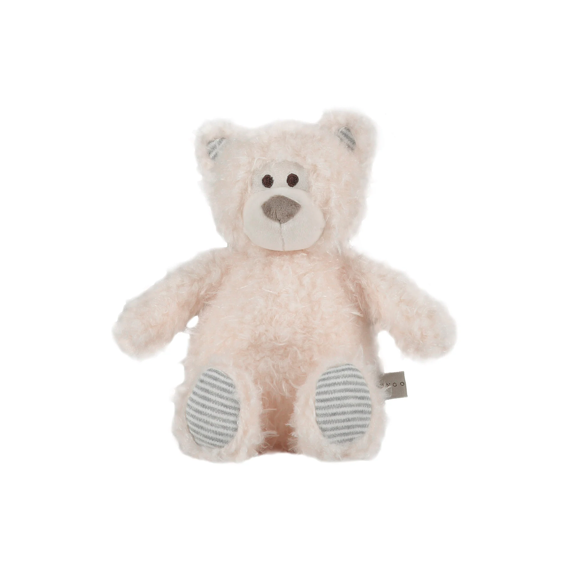 Benedict the Bear Dog Toy