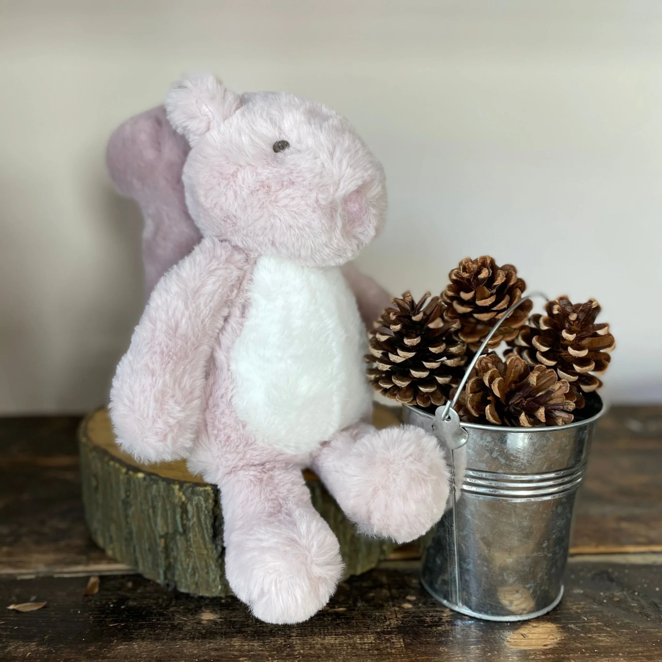 Cyril the Squirrel Dog Toy - Image 4
