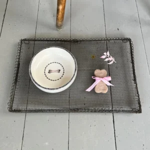 Lifestyle Image: Garland Bowl + Big Bone Dog Treat
