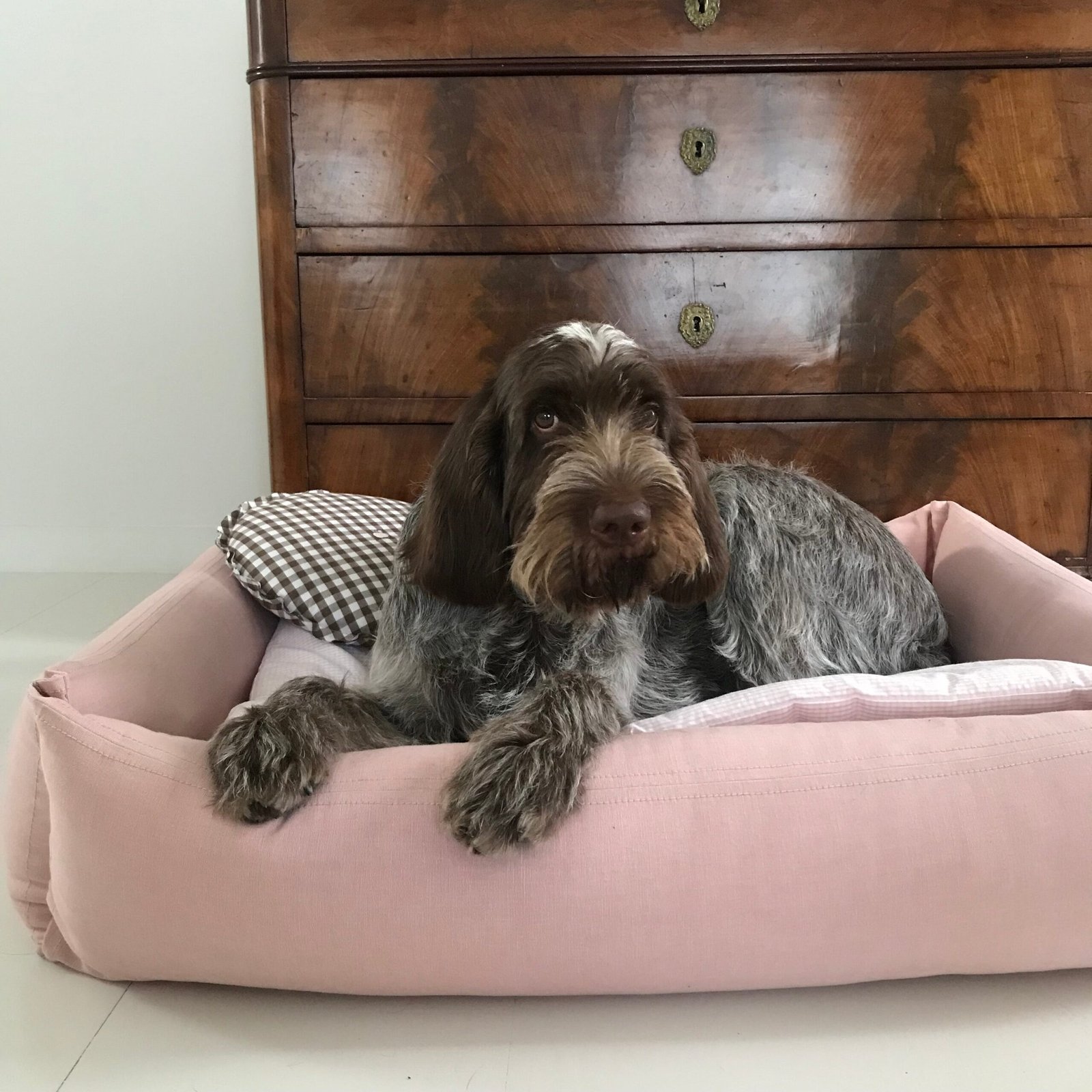 Classic Dog Bed - Image 6