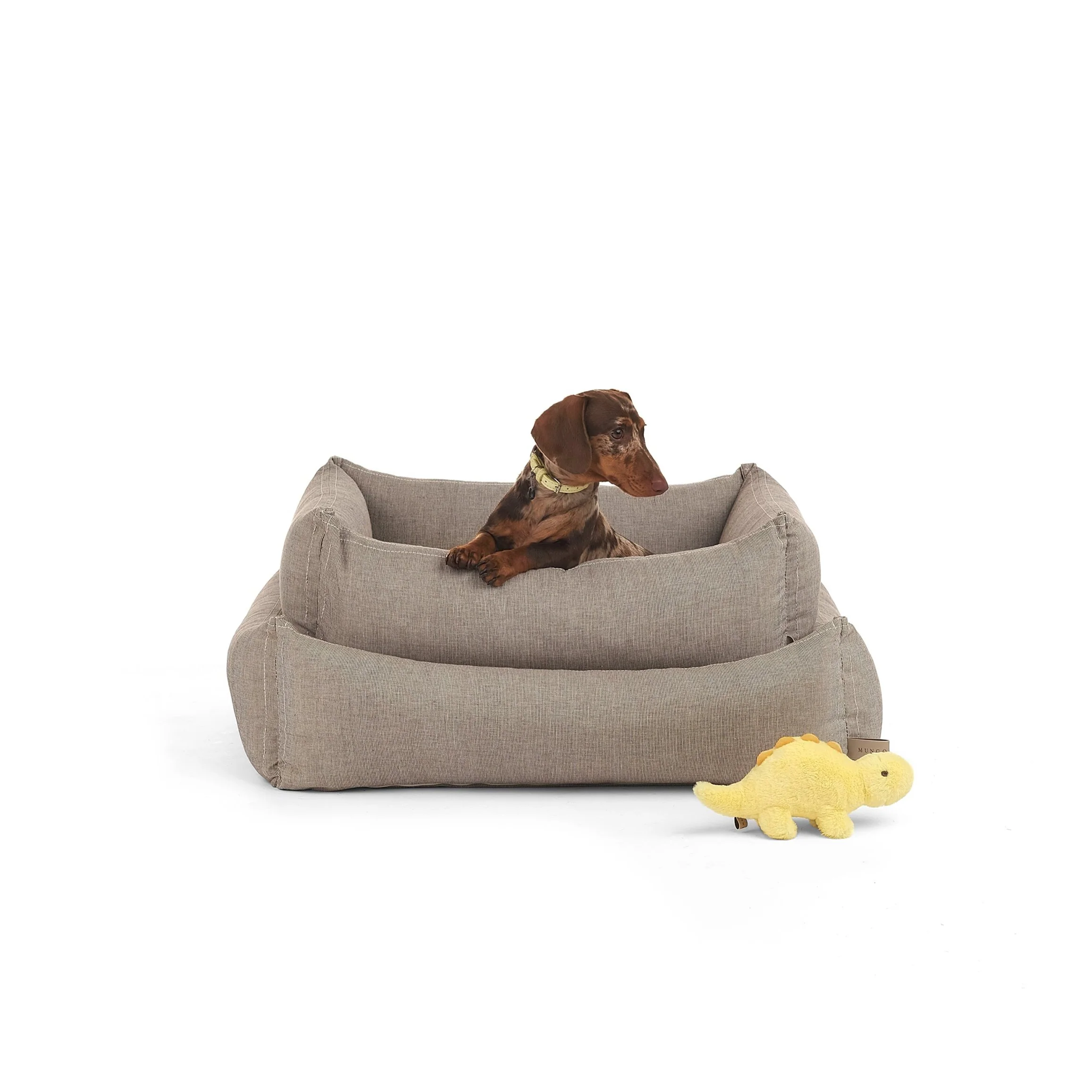 Daffodil the Dinosaur Dog Toy - Image 3