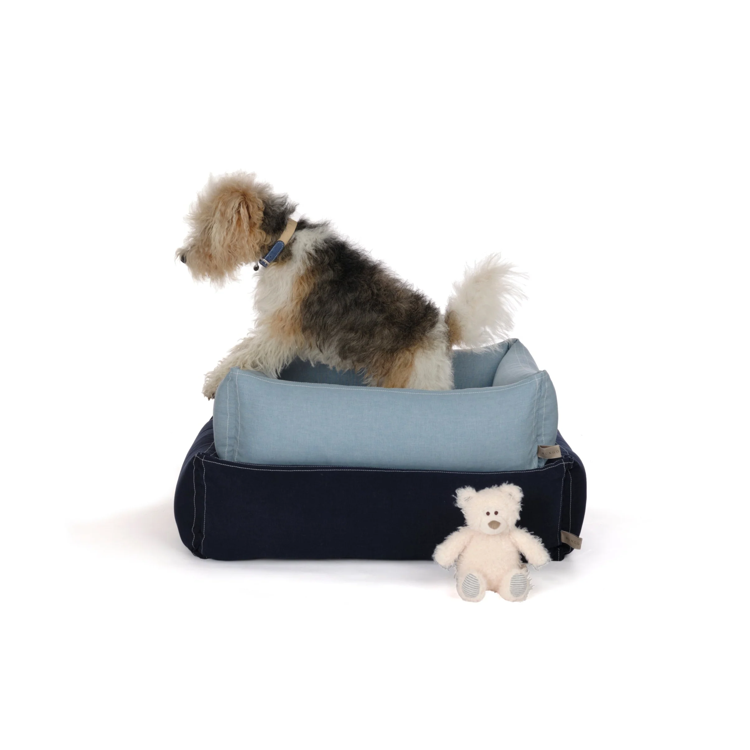 Benedict the Bear Dog Toy - Image 3