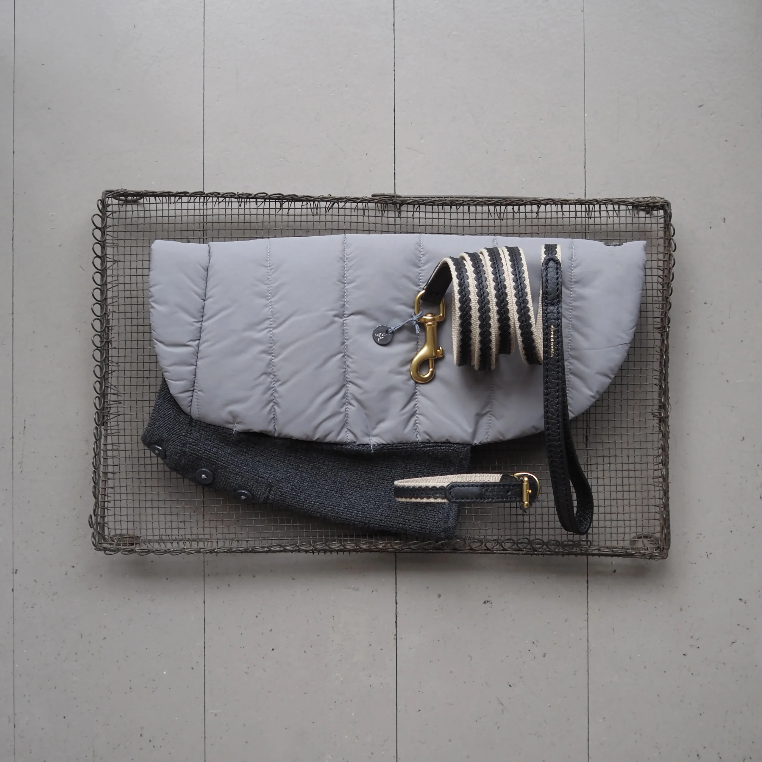 Beetle Dog Coat - Image 4