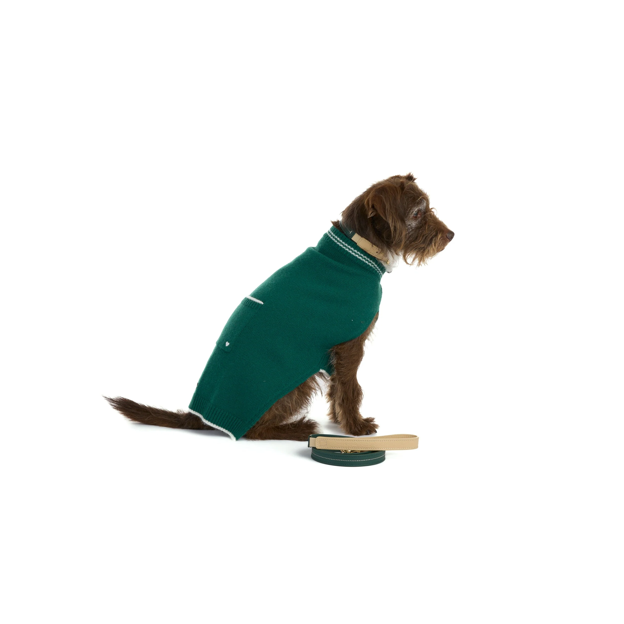 Amorette Dog Pullover - Image 2