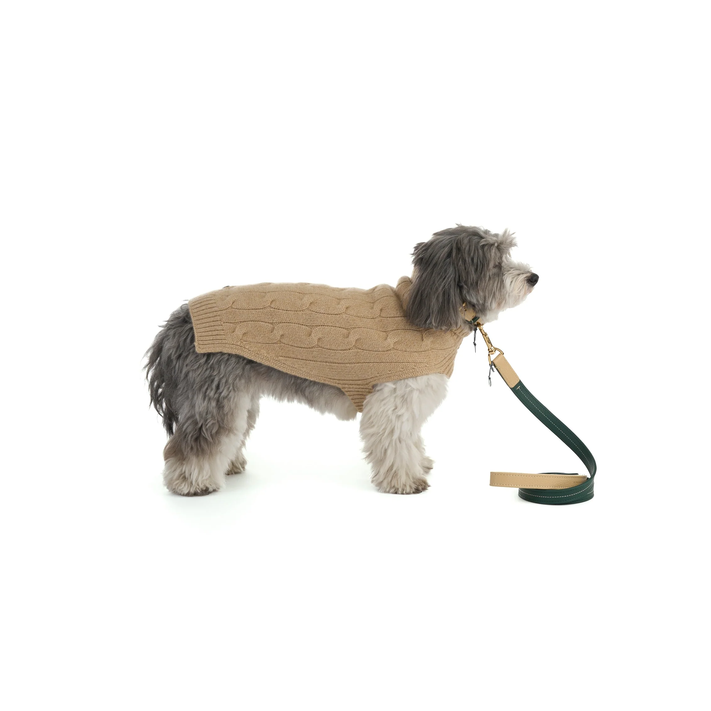 Cable Cashmere Dog Pullover - Image 2