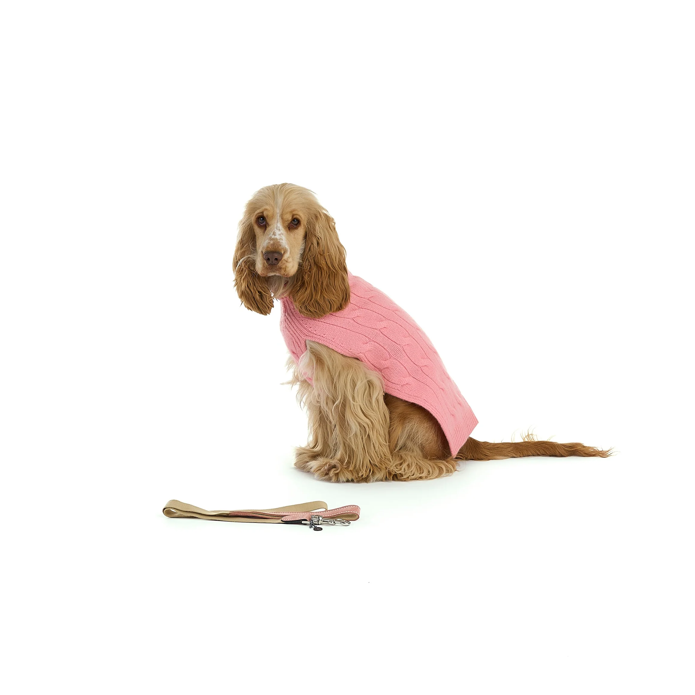 Cable Cashmere Dog Pullover - Image 2
