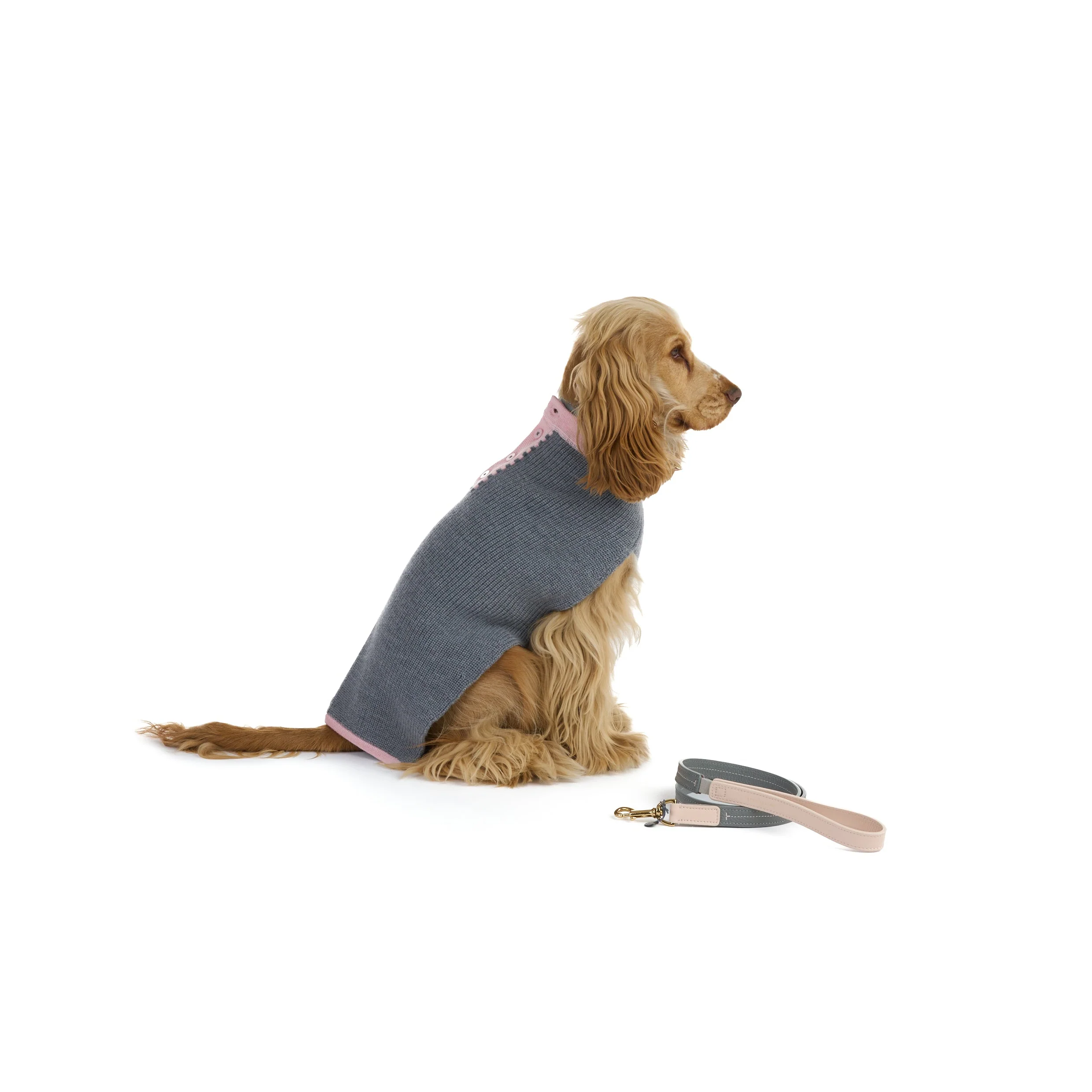 Maypole Dog Pullover - Image 2