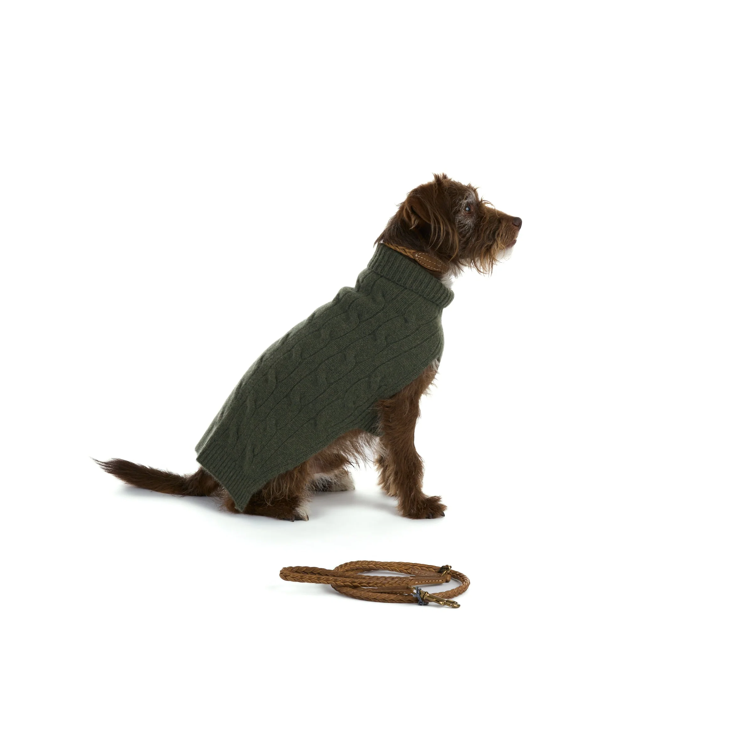 Cable Cashmere Dog Pullover - Image 2