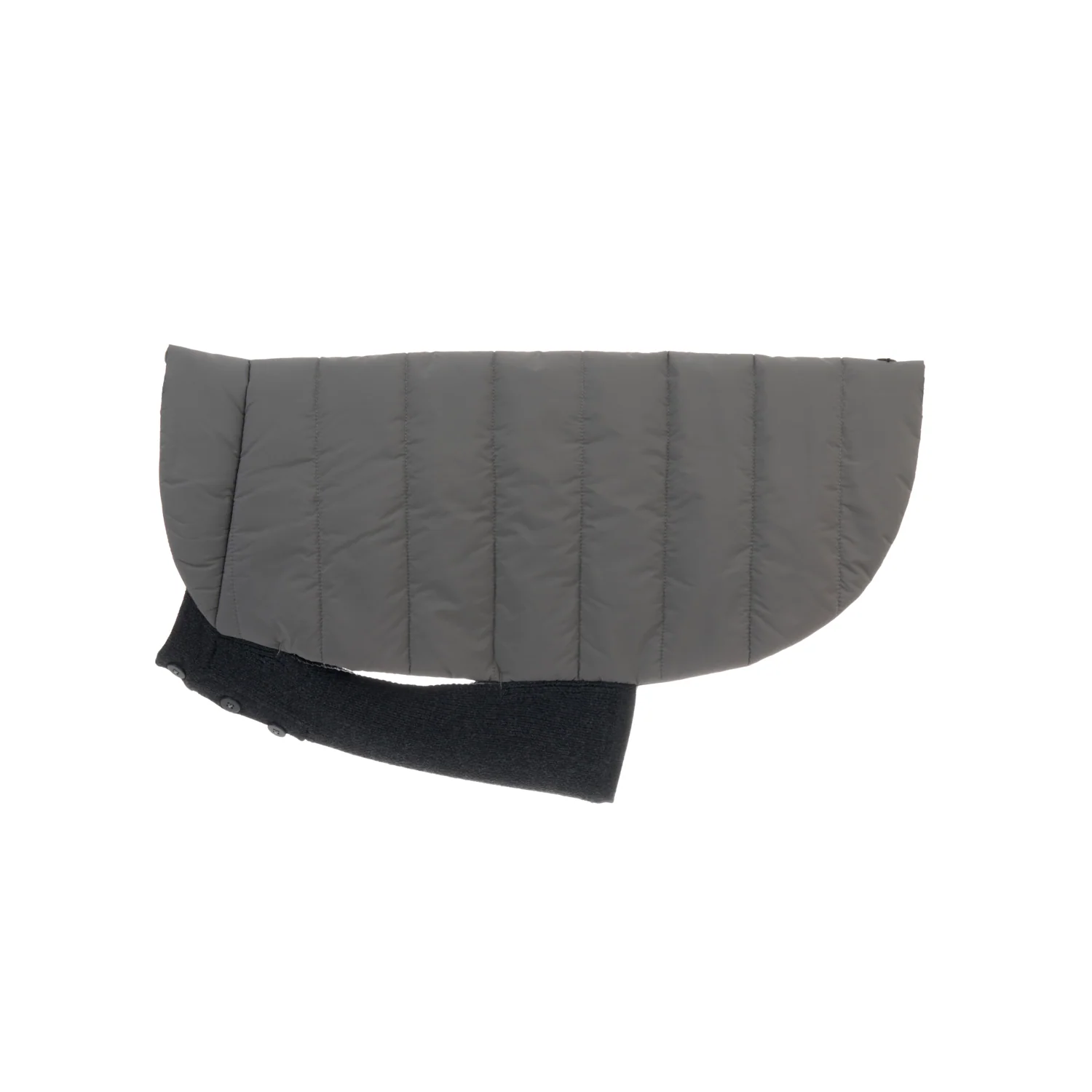 Beetle Dog Coat