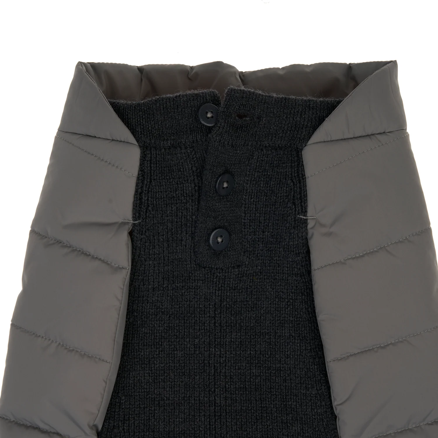 Beetle Dog Coat - Image 2